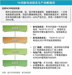 5月新能源乘用車(chē)市場(chǎng)增速放緩，投資管理面臨新考量